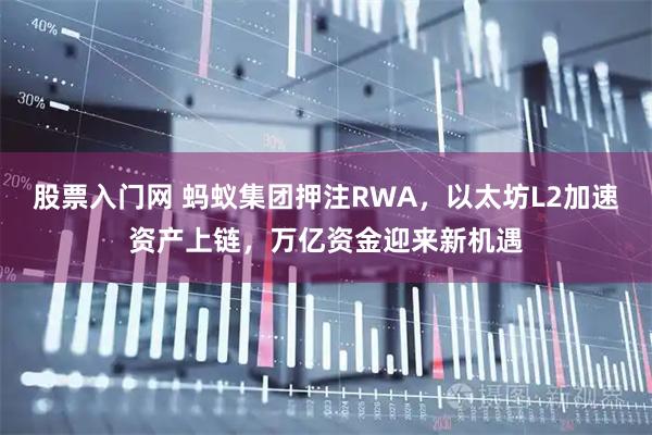 股票入门网 蚂蚁集团押注RWA，以太坊L2加速资产上链，万亿资金迎来新机遇