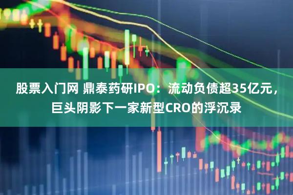 股票入门网 鼎泰药研IPO：流动负债超35亿元，巨头阴影下一家新型CRO的浮沉录