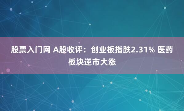股票入门网 A股收评：创业板指跌2.31% 医药板块逆市大涨