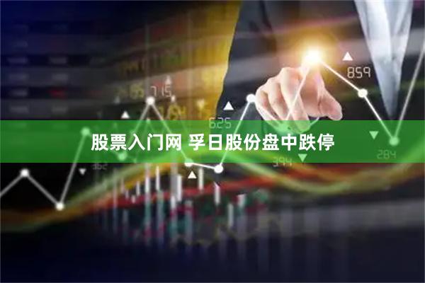 股票入门网 孚日股份盘中跌停