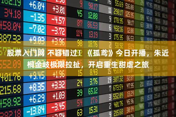 股票入门网 不容错过！《孤鸢》今日开播，朱近桐金岐极限拉扯，开启重生甜虐之旅